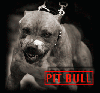 pit